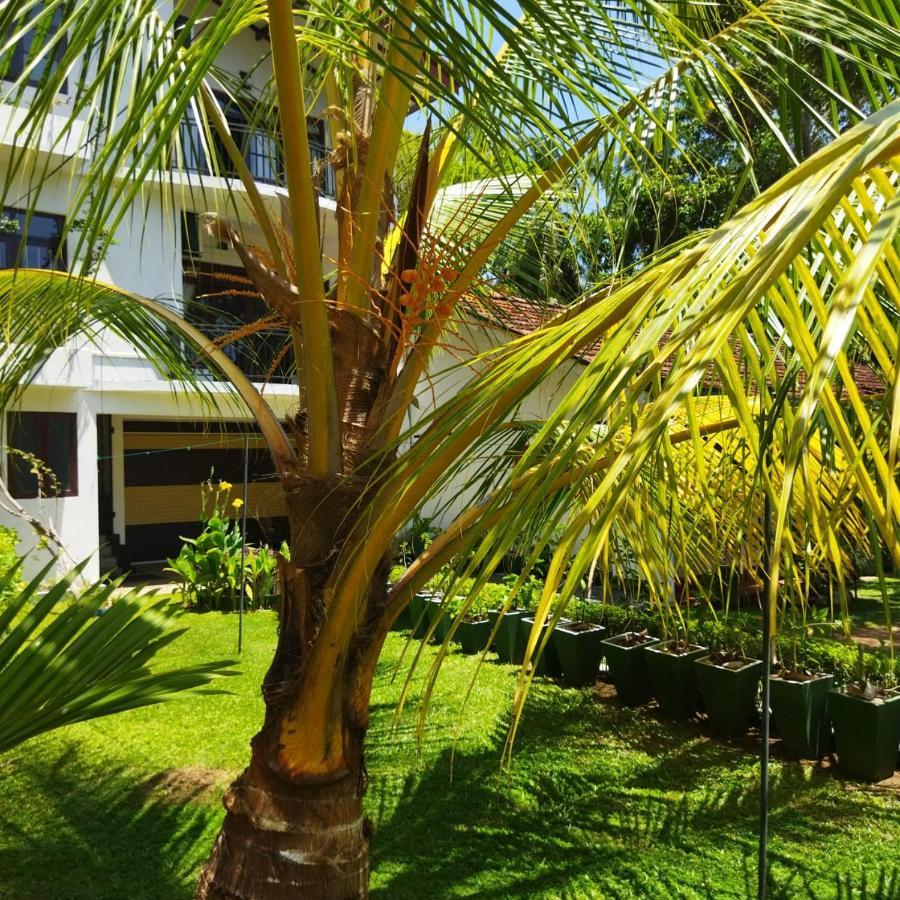 Edelweiss Residence Hikkaduwa Luaran gambar