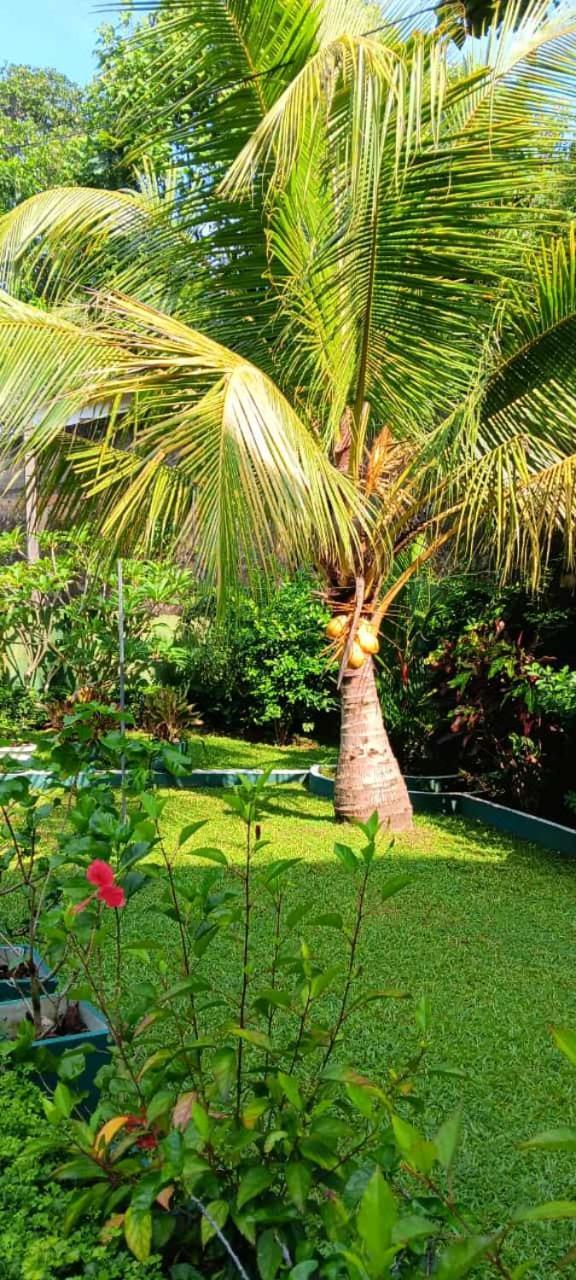 Edelweiss Residence Hikkaduwa Luaran gambar